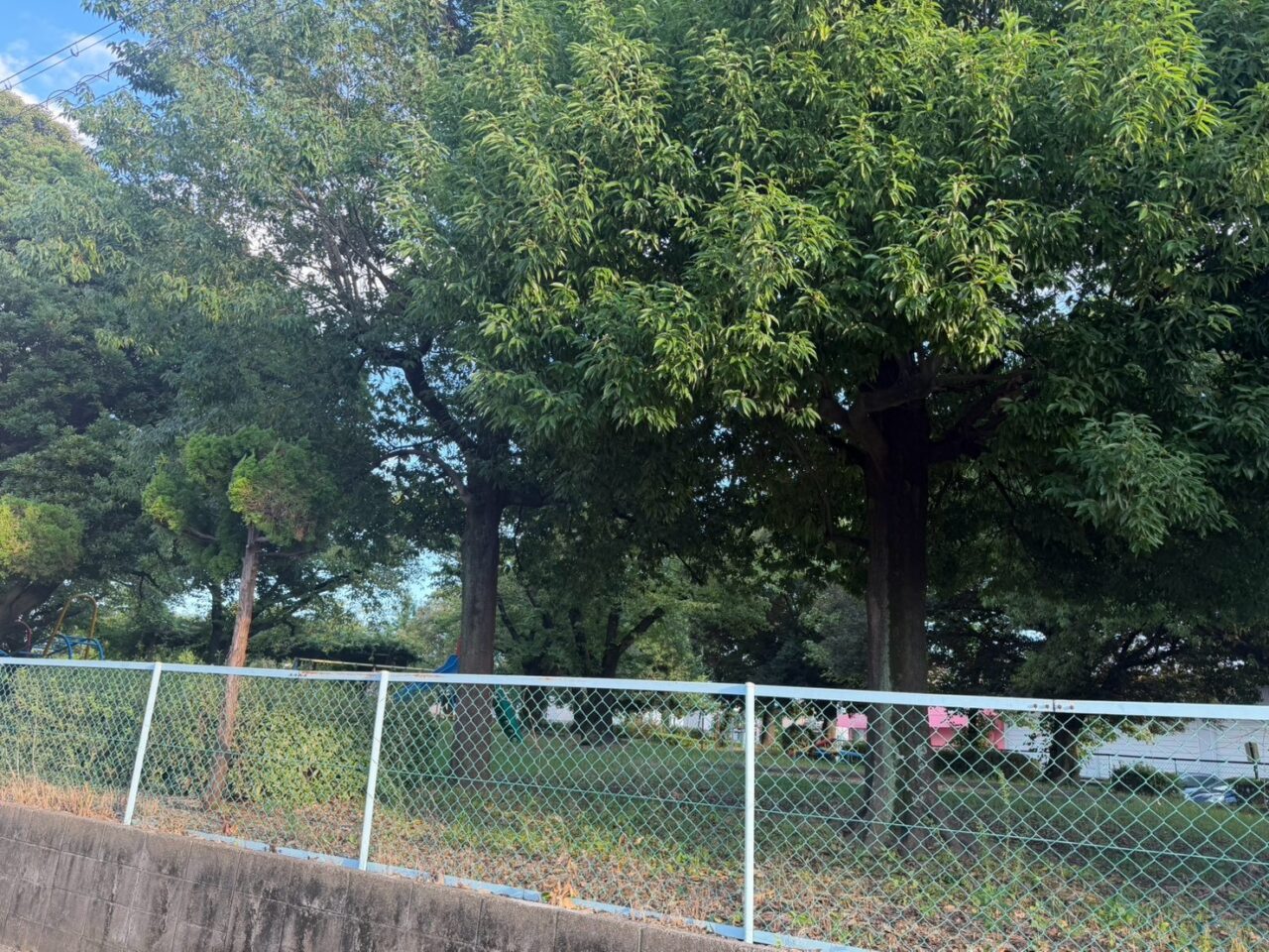 西津公園ー３