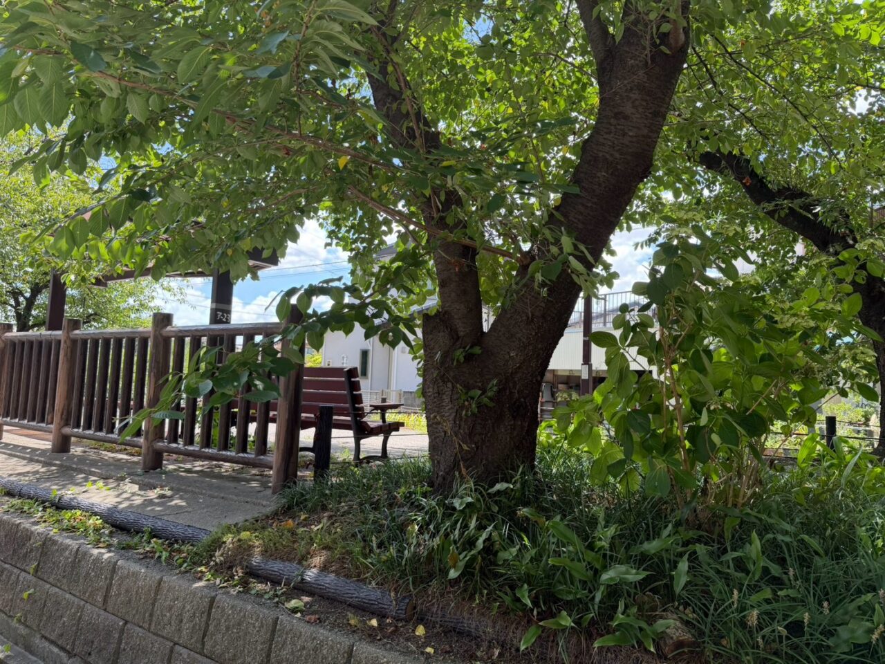 水道道8月ー１