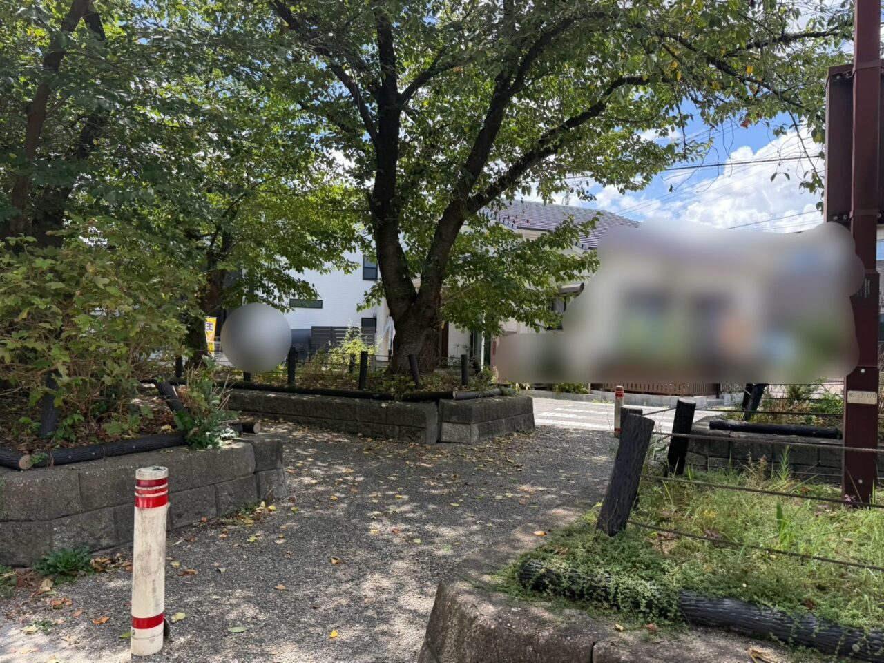 水道道8月ー3