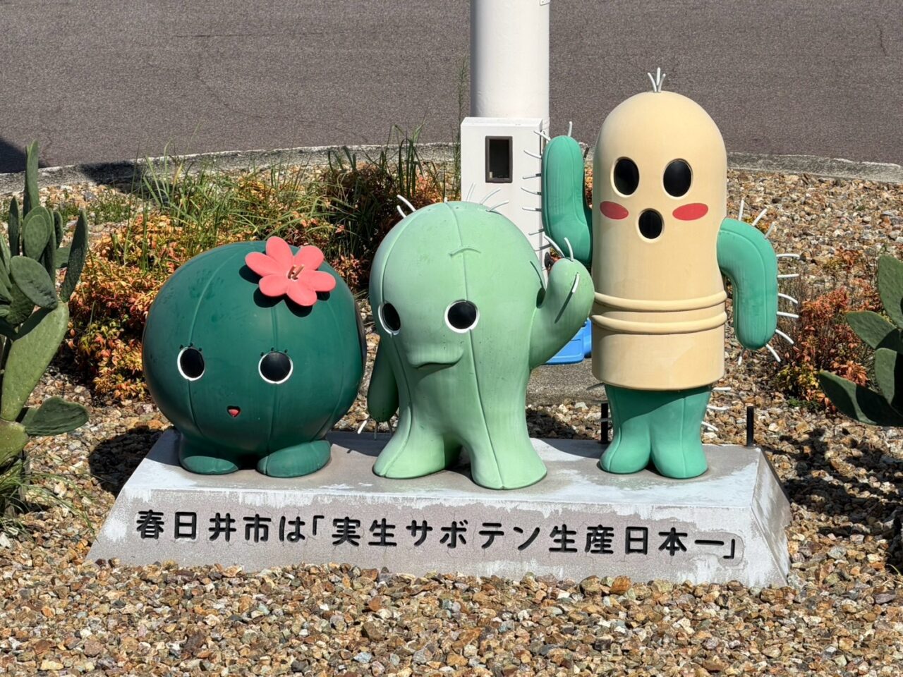 サボテンー1