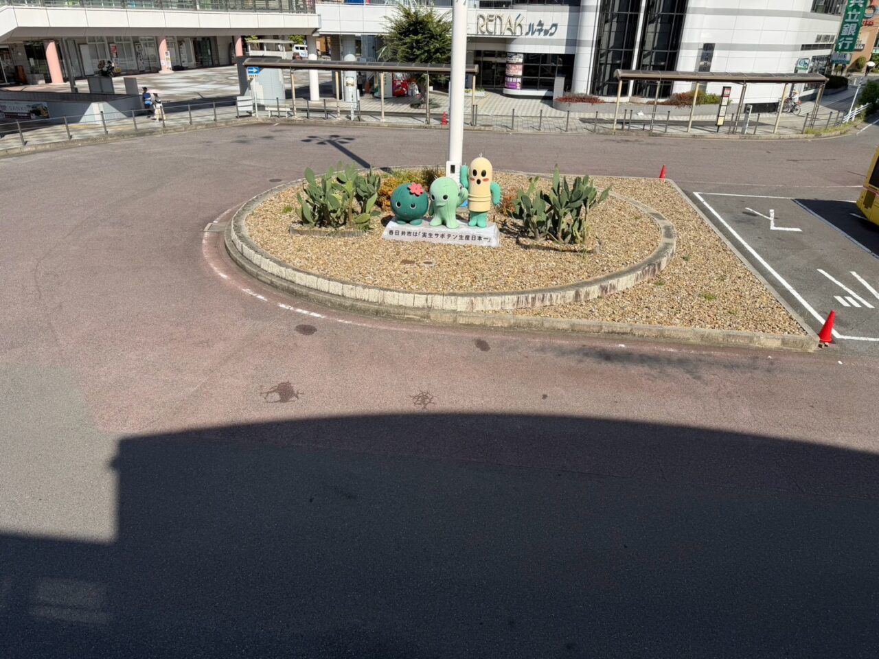 サボテンー2