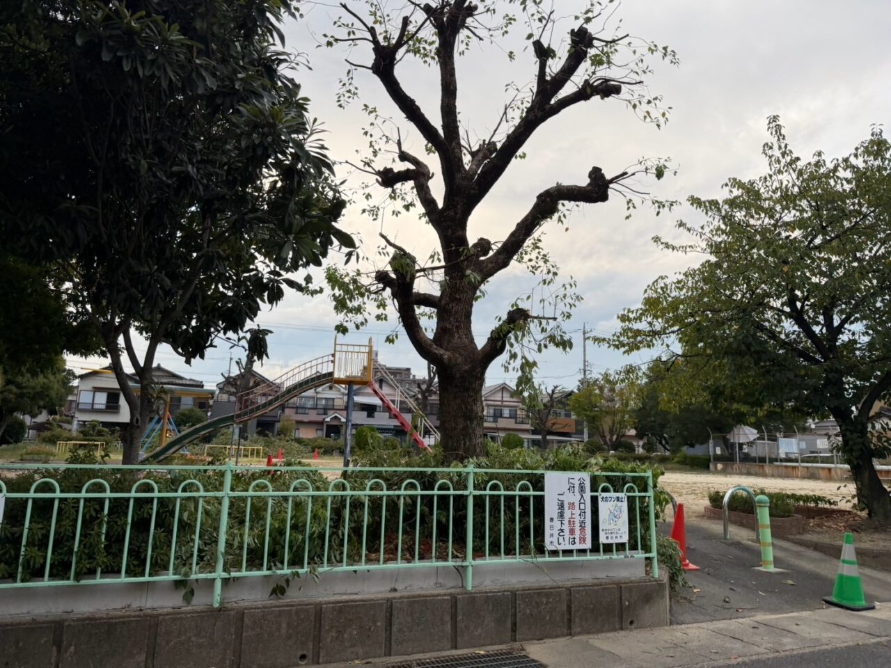 中原公園ー1