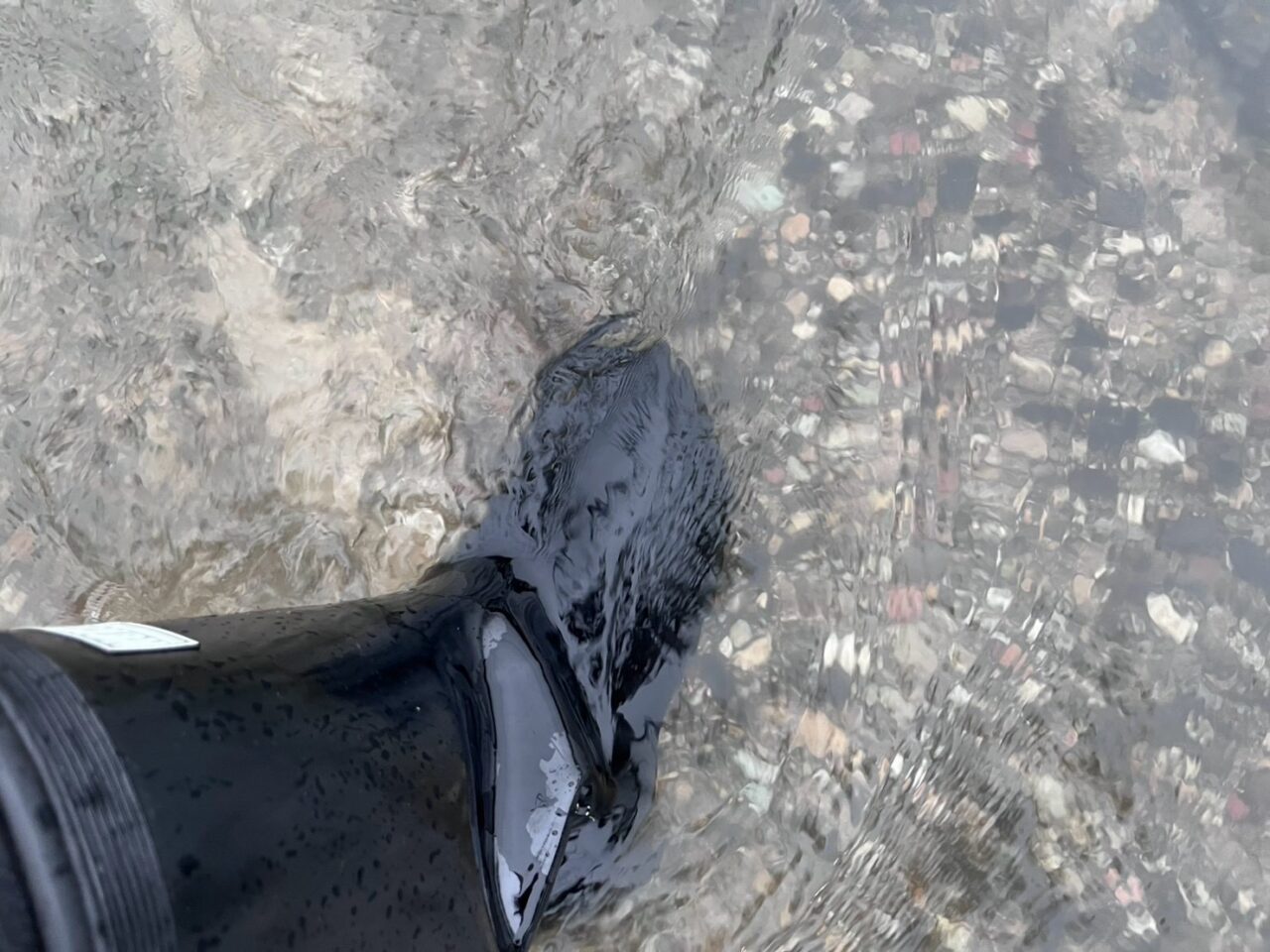 雨ー3