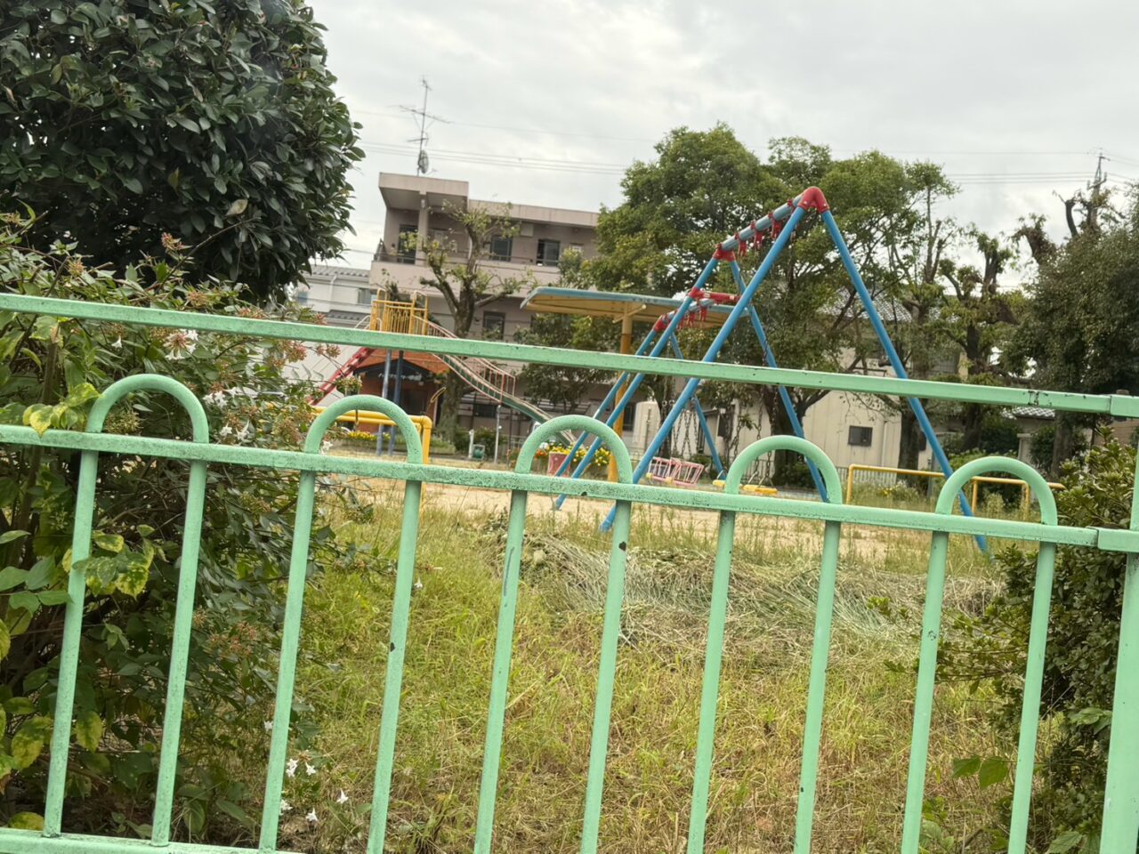 中原公園-2