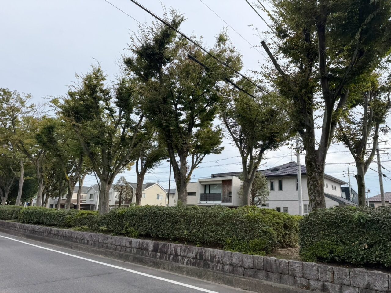 ケローナ通り-4