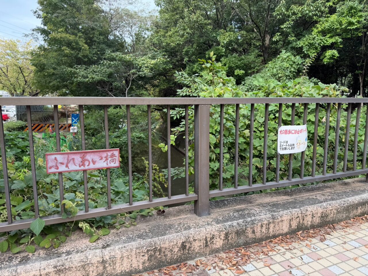 ふれあい橋-1
