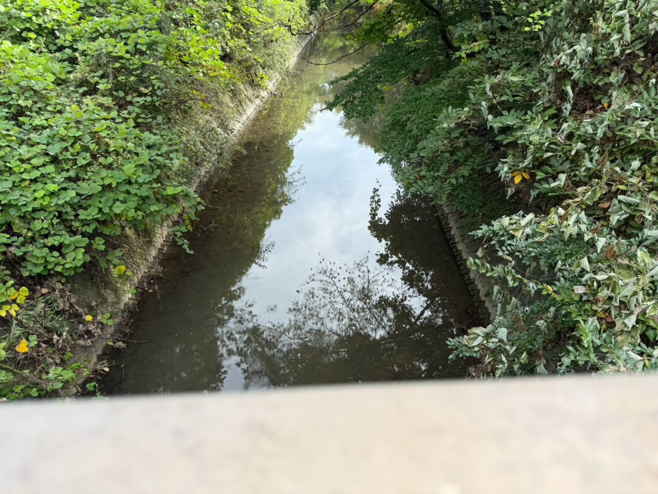 ふれあい橋-4