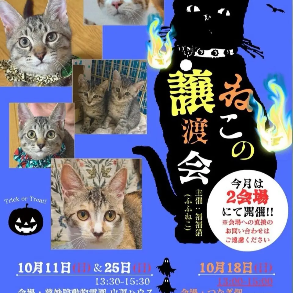譲渡会-4