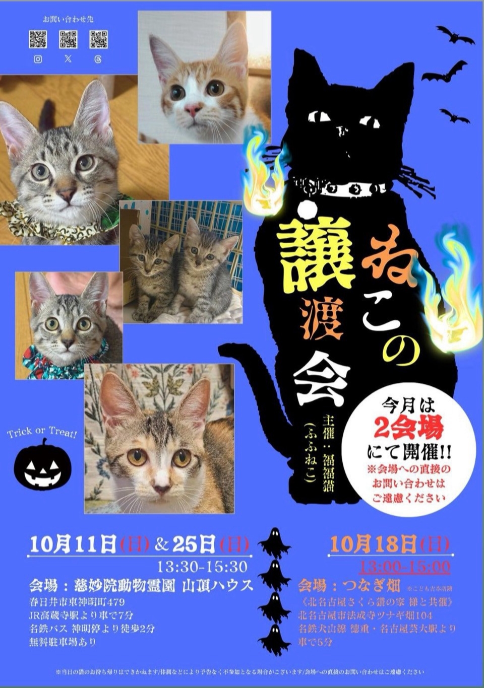 譲渡会-4